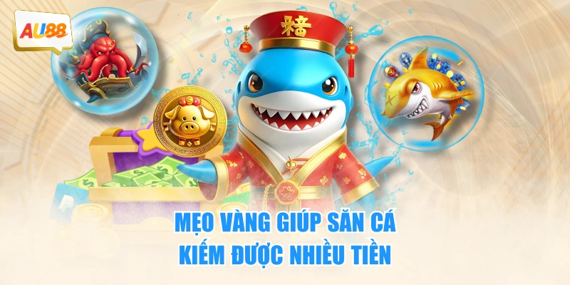 Mẹo vàng giúp săn cá kiếm được nhiều tiền